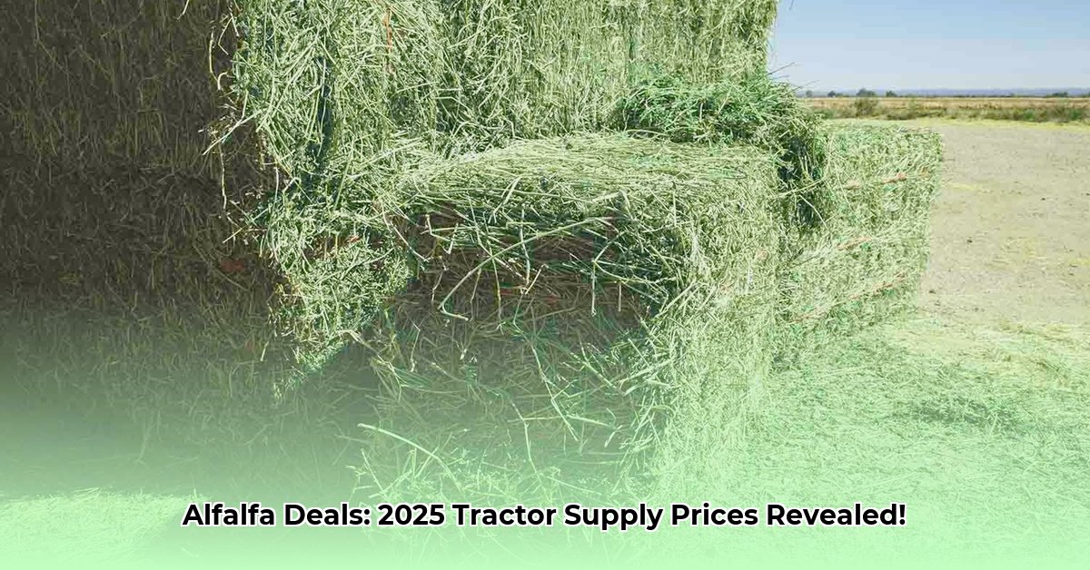 tractor-supply-alfalfa